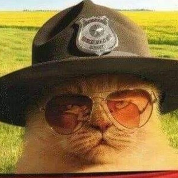 Meet your Posher, Aries - Picture 16 of 16